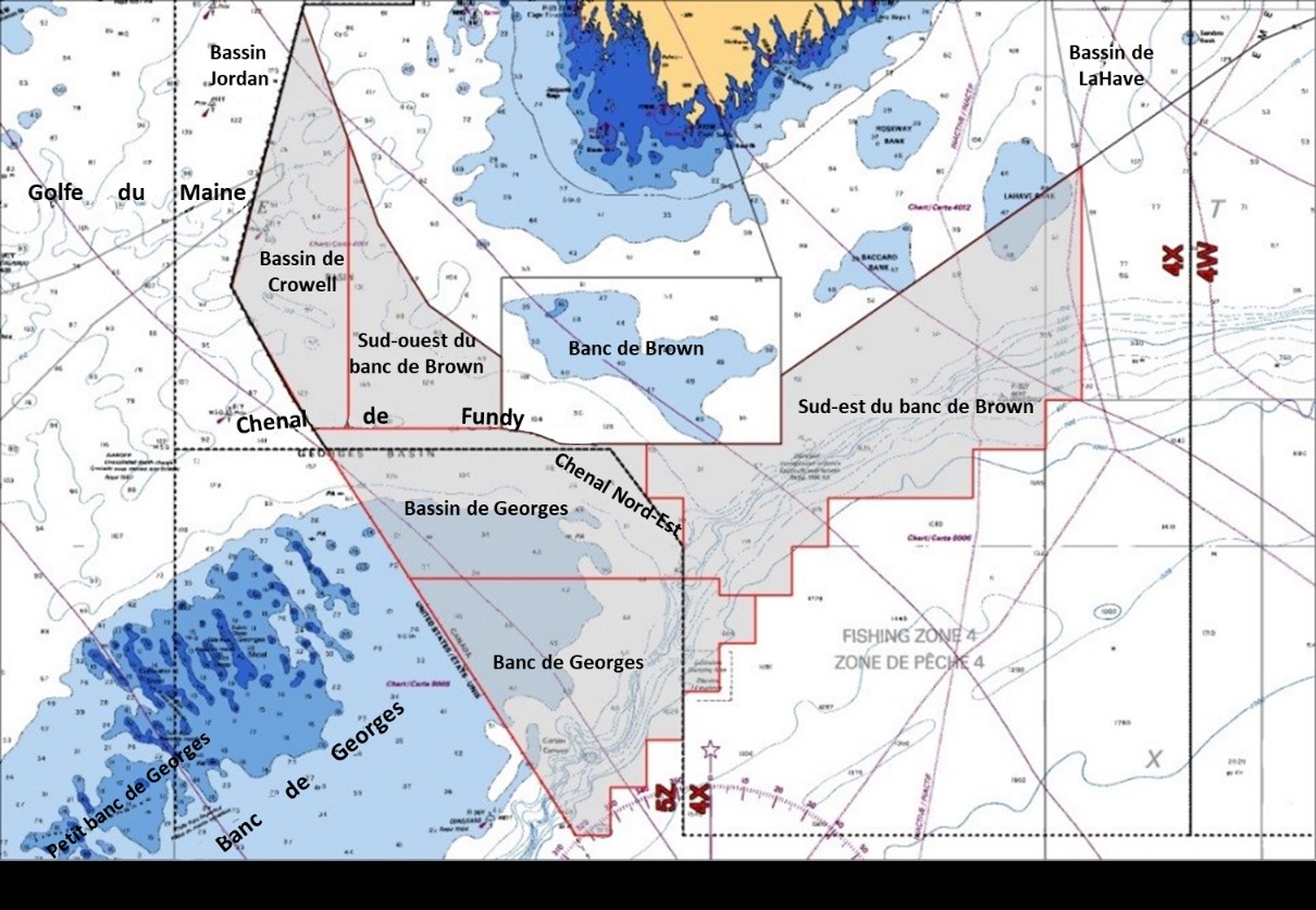 Carte illustrant les principaux lieux de pêche dans la zone de pêche du homard 41
