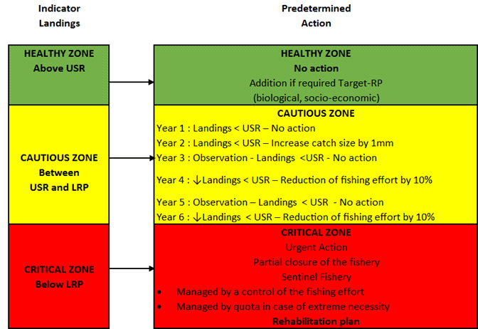 Graphic Chart