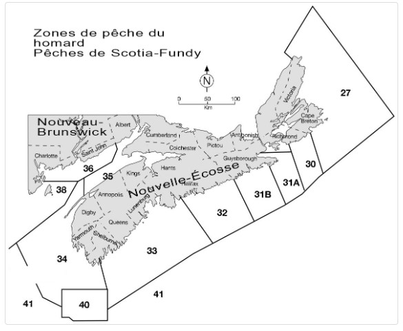 Carte identifiant les zones de pêche du homard dans la région des Maritimes