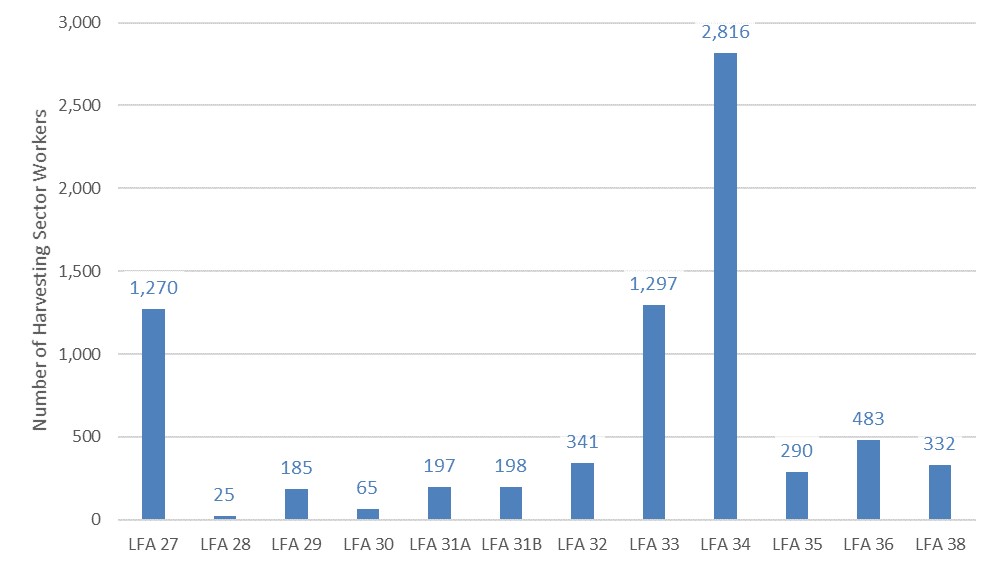 Graphic illustrating Lobster harvesting employment by LFA (annual average, 2014-2018).