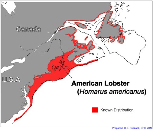 Map of Eastern North American lobster distribution