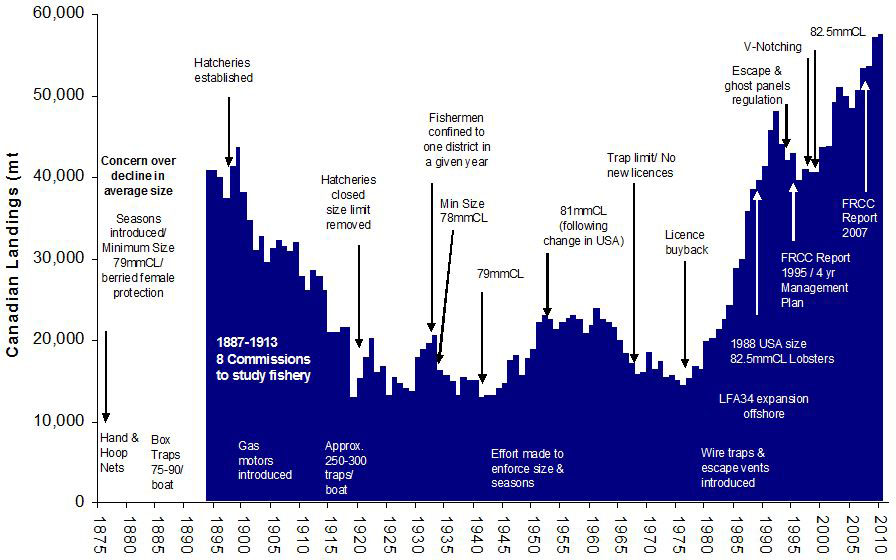 Lobster Price Chart