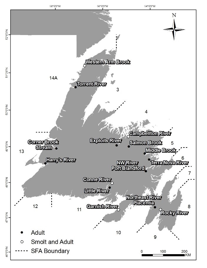 Map of Newfoundland salmon fishing area boundaries