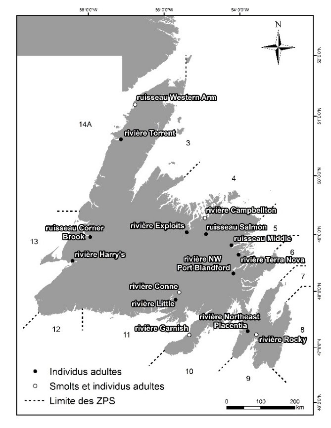 Carte des limites de la zone de pêche au saumon de Terre-Neuve