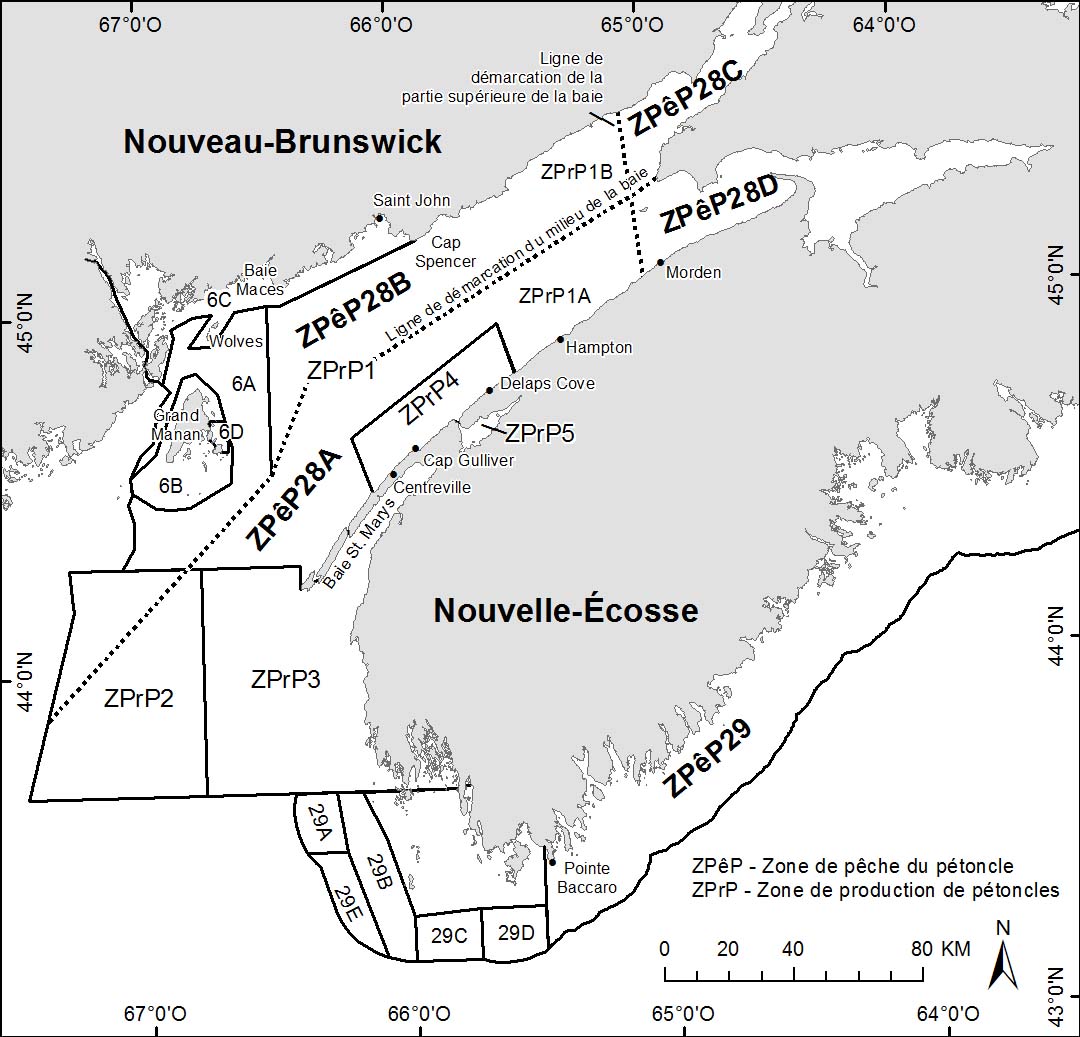 Cartes des zones de pêche du pétoncle (ZPP) et des aires de production de pétoncles (APP) dans la baie de Fundy