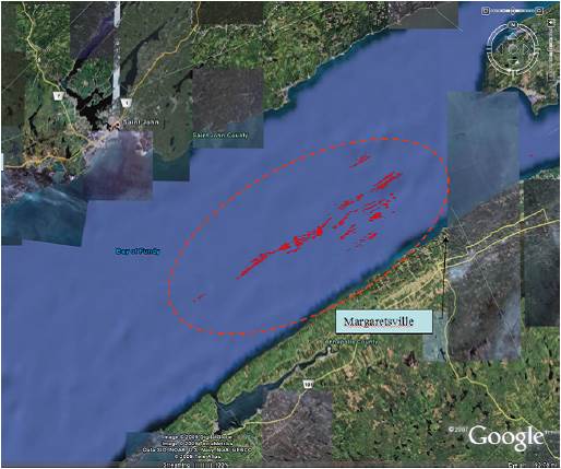 Image tirée de Google Maps des récifs linéaires de modioles dans la baie de Fundy