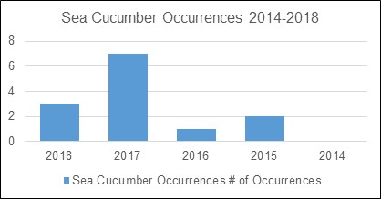 Graphic of sea cucumber occurrences