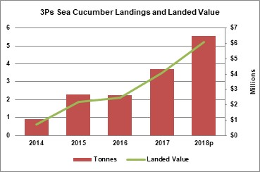 Graphic total 3Ps Sea Cucumber Catch (t) and Landed Value ($M). 2018p is premilimary data.Source: Policy and Economics Branch – NL Region. Data is preliminary and subject to revision