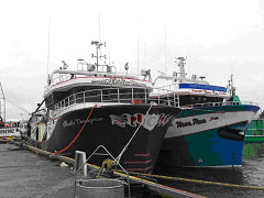 Typical small shrimp fishing vessel