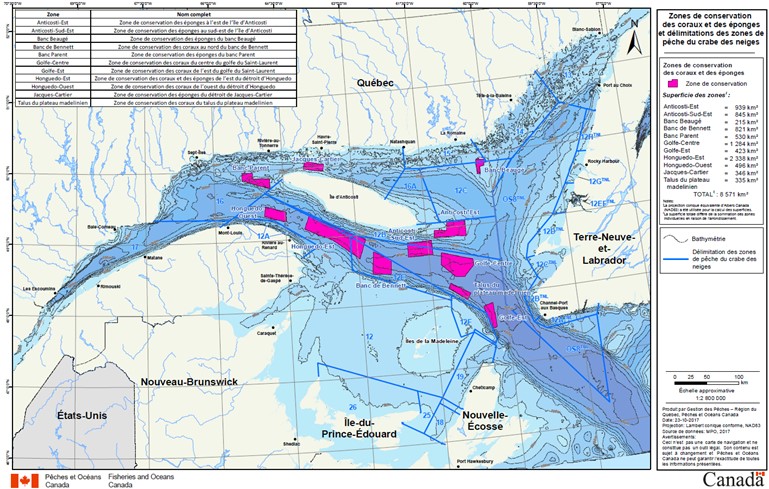 Cartes des zones de conservation des coraux et des éponges et délimitation des zones de pêche du crabe des neiges dans l’estuaire et le golfe du Saint-Laurent