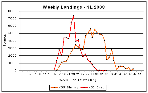 Figure 5: Weekly landings for <65’ shrimp fleet and <65” crab fleet – 2008