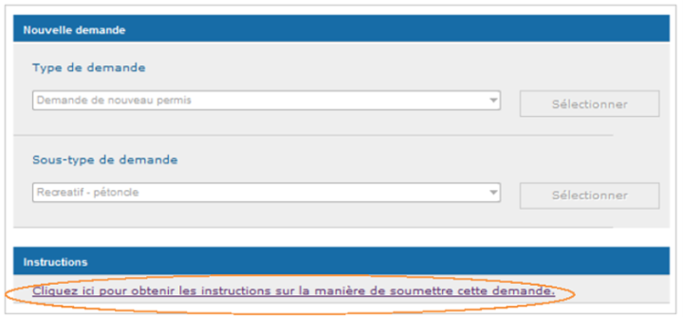 Cette image présente l'écran « Nouvelle demande », dans lequel les directives sont encerclées d'un trait orange