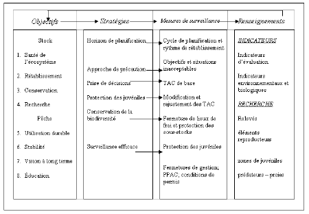 Élaboration du plan de conservation du stock de morue du Sud du golfe