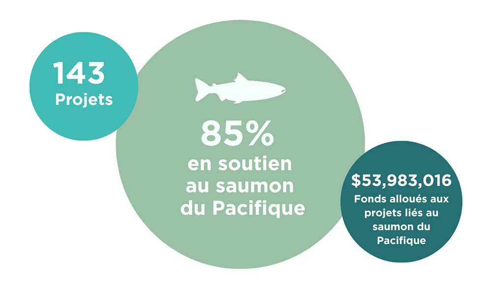 diagram showing division of funding across various recipient groups