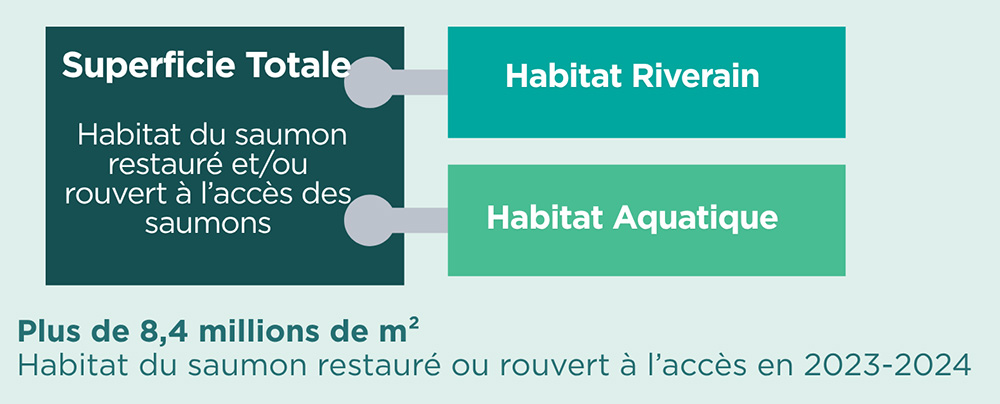 graphic representing total area of restored or reopened salmon habitat