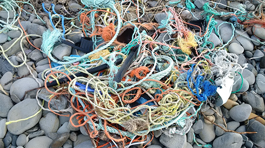 Ghost gear: Educational guide and activity book