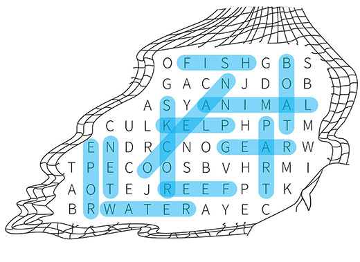 The highlighted answers are shown for the word search activity.