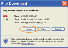 This is an image of the File Download pop up, where the Open button is circled in orange