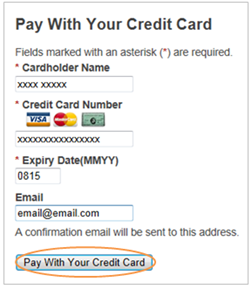 This is an image of the Pay With Your Credit Card screen