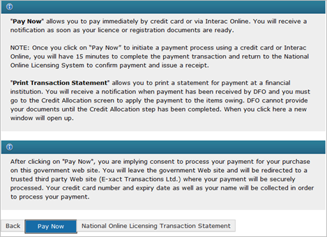 This is an image of the Pay Now screen