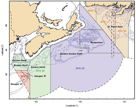 Sea Scallop Size Chart
