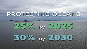 Protecting our Oceans
