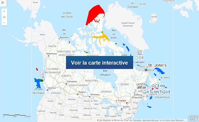 Aller vers la carte interactive