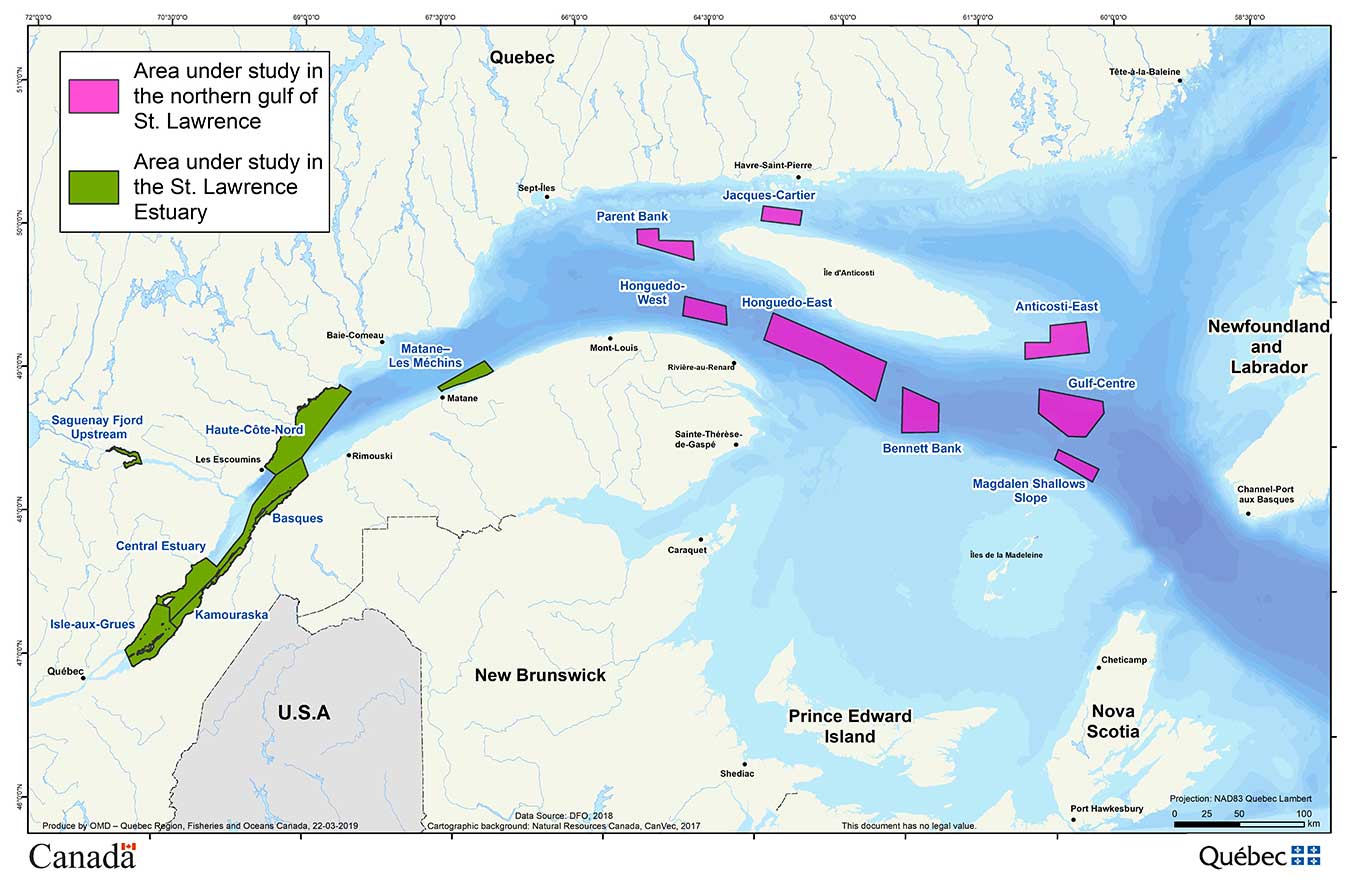 Map: Northern Gulf of St. Lawrence study area and St. Lawrence Estuary study area