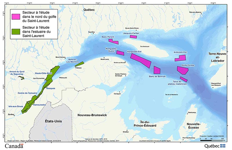 Carte : Secteur à l’étude dans le nord du golfe du Saint-Laurent et secteur à l’étude dans l’estuaire du Saint-Laurent