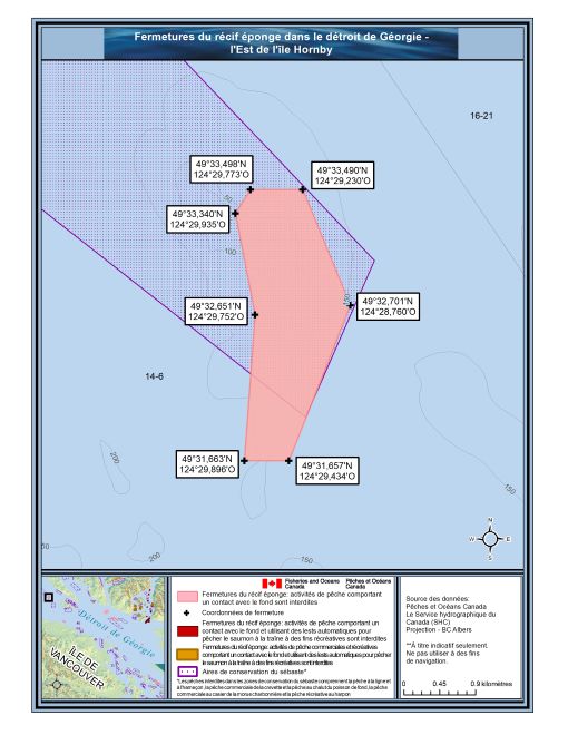 L'est de l'île Hornby
