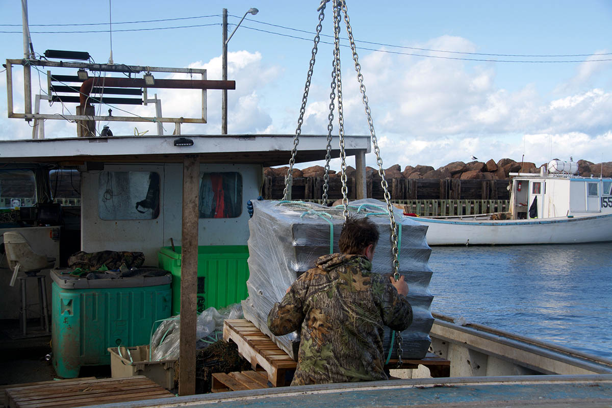 L'équipage charge une palette de récifs artificiels en béton sur le bateau. © Nelson Cloud