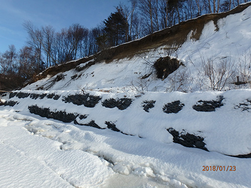 Results of the first year of the project in Conne River, stabilizing the embankment