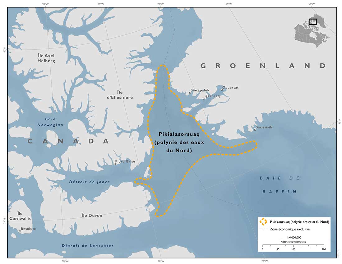 Carte : Pikialasorsuaq (polynie des eaux du Nord). Copyright MPO.