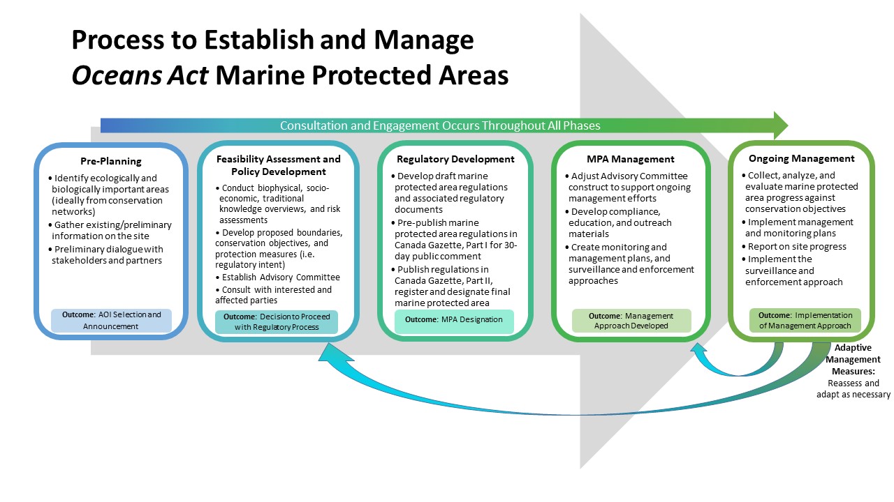 An infographic depicting the process to establish and manage Oceans Act Marine Protected Areas which includes pre-planning, feasibility assessment and policy development, regulatory development, MPA management and ongoing management