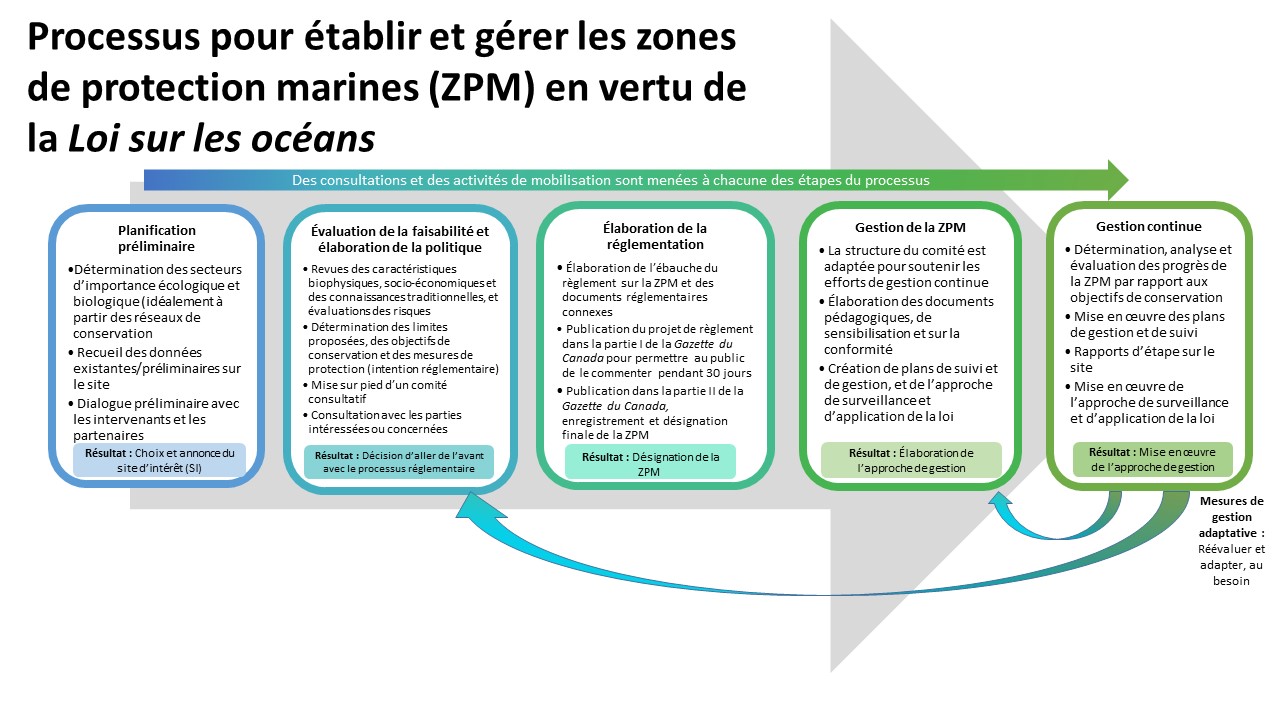 Une infographie illustrant le processus pour établir et gérer les zones de protection marines (ZPM) en vertu de la Loi sur les océans, y compris la planification préliminaire, l'évaluation de la faisabilité et l'élaboration de politiques, l'élaboration de la réglementation, la gestion de la ZPM et la gestion continue