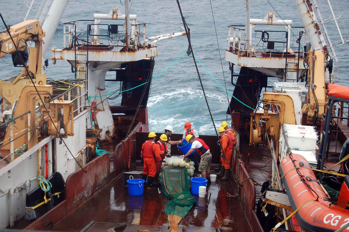Membres d'équipage vérifiant les prises sur le pont d'un navire. Source : Hilary Moors-Murphy