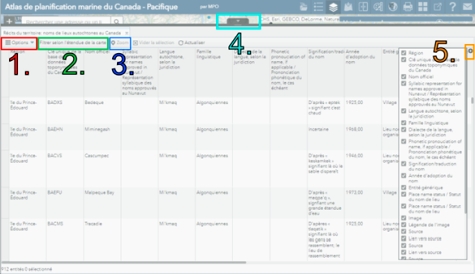 La table des attributs avec les actions «&nbsp;options&nbsp;», filtrer selon l'étendue de la carte&nbsp;»,    «&nbsp;zoom&nbsp;» surlignées