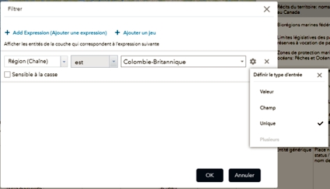 Fenêtre de requête de filtre ouverte