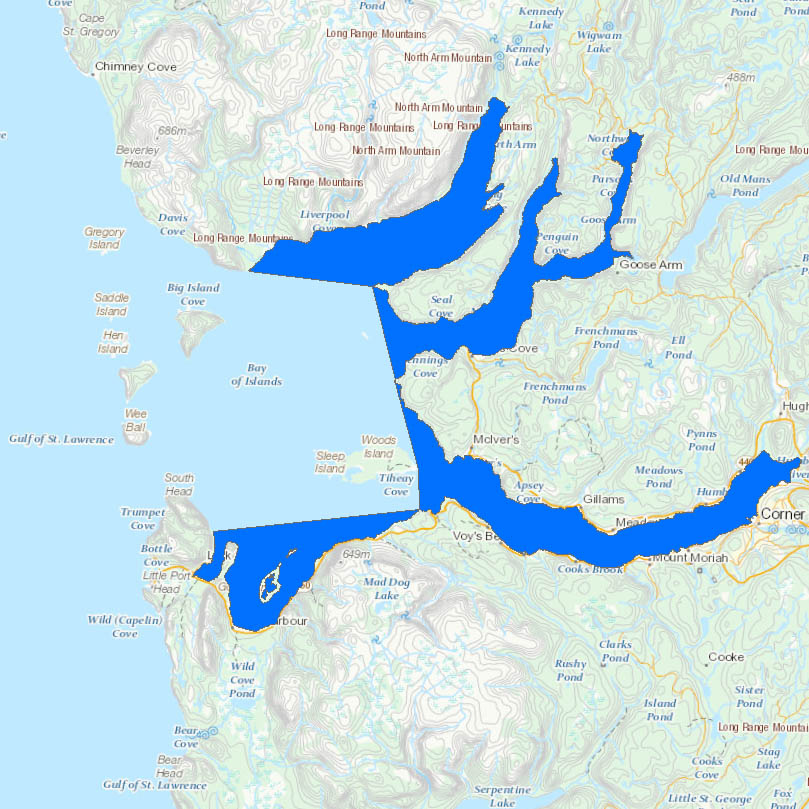 Bay of Islands Salmon Migration closure
