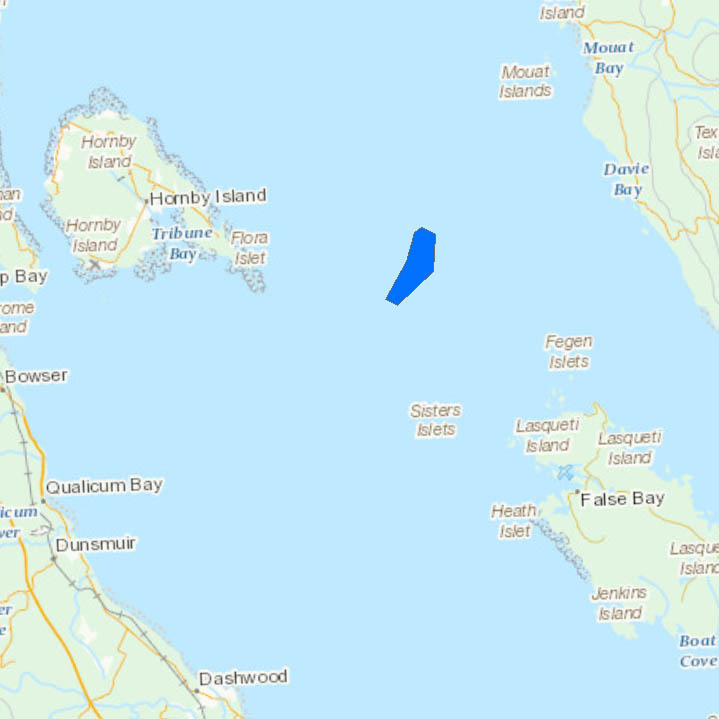 Strait of Georgia - East Hornby Island