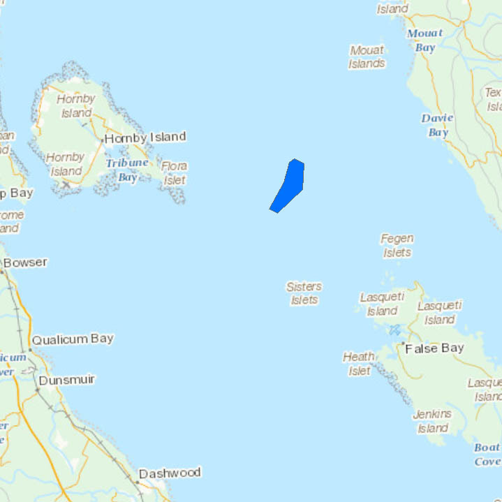 Strait of Georgia - East Hornby Island