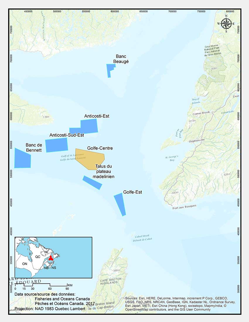 Zone de conservation des coraux du centre du golfe du Saint-Laurent