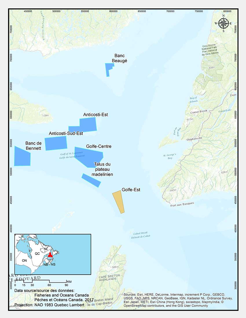 Zone de conservation des coraux de l’est du golfe du Saint-Laurent