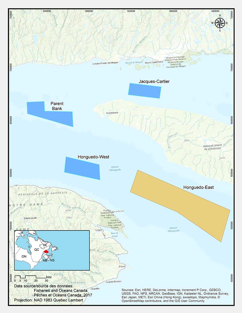 Eastern Honguedo Strait Coral and Sponge Conservation Area