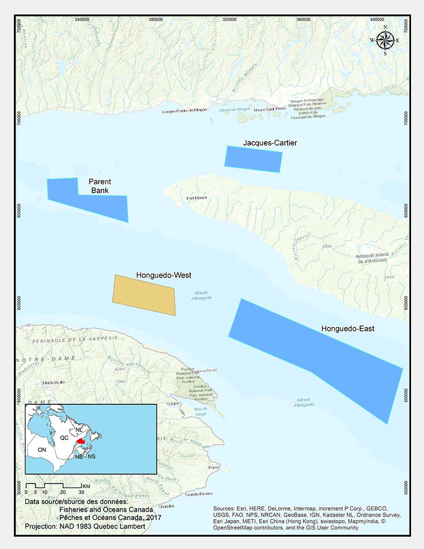 Western Honguedo Strait Coral Conservation Area