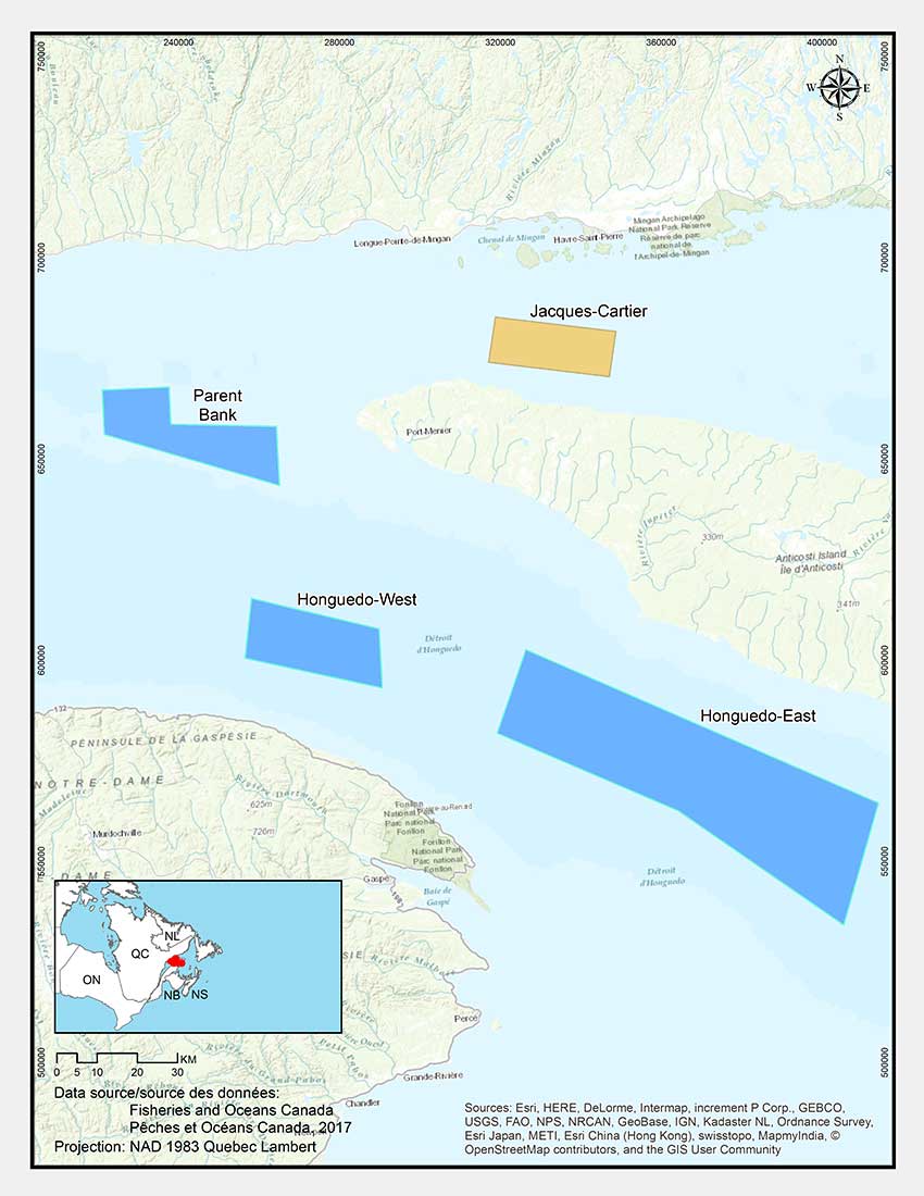 Jacques-Cartier Strait Sponge Conservation Area