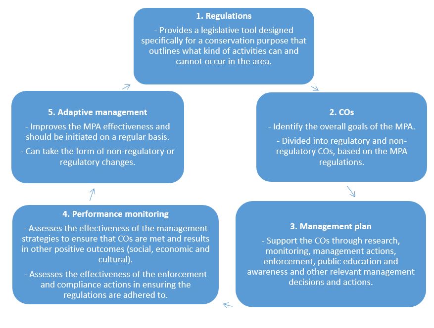 A flow chart describing the steps of the management framework for the Basin Head MPA. Text version below.