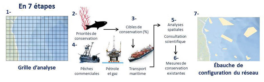 Figure 4 : Processus de développement du réseau dans la biorégion de l’estuaire et du golfe du Saint-Laurent