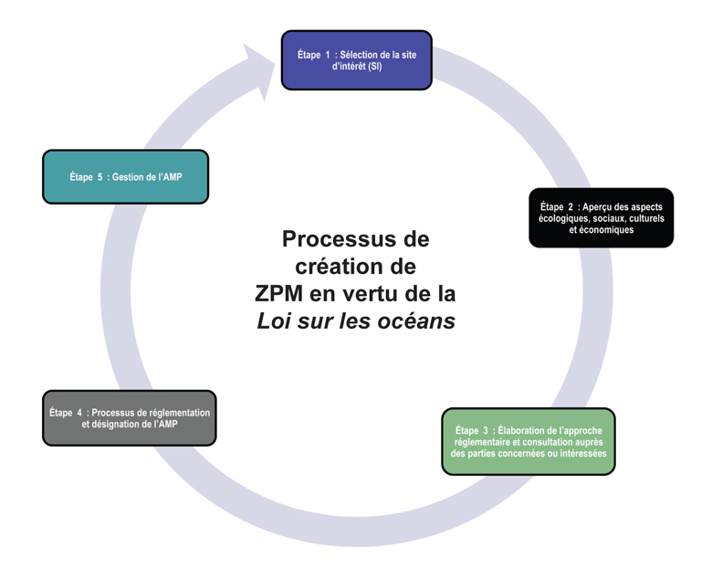 Figure 5 : Processus de création de ZPM en vertu de la Loi sur les océans