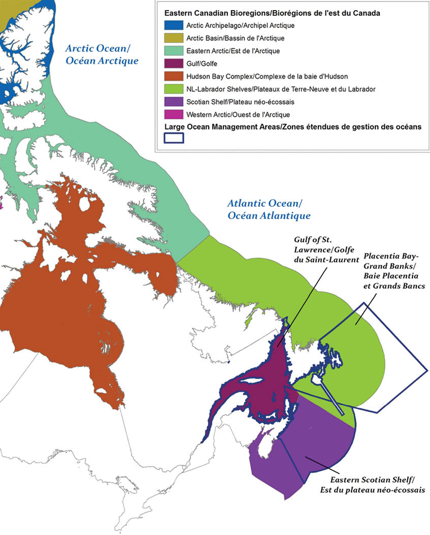 Figure 2: Biorégions de l'est du Canada et zones étendues de gestion des océans